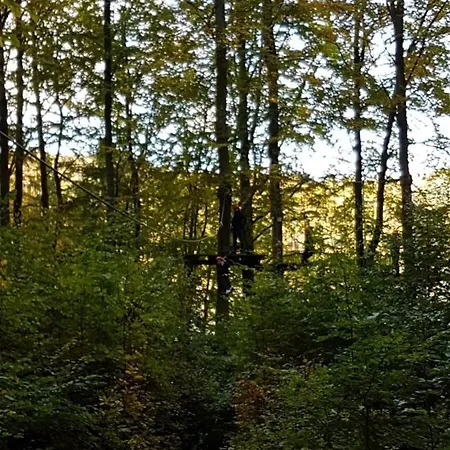Ferienhaus 8 Personen Ferienhaus Frankenau